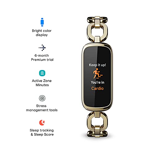 Fitbit Wellness Stainless Bracelet Included - Levo Sportswear
